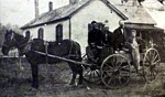 Horse and Buggy at Avalon.