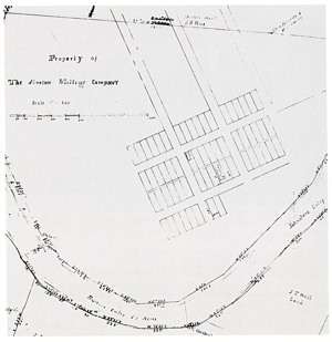 Village of Avalon street plan.